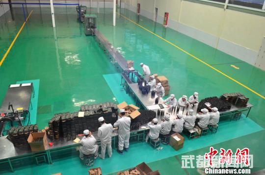 图为当地橄榄油企业现场。 崔琳 摄 图为当地橄榄油企业现场。 崔琳 摄