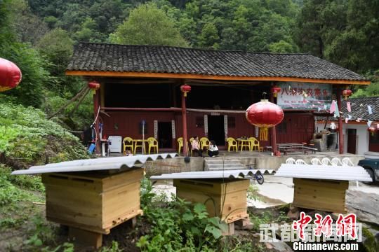 图为陇南市武都区裕河镇凤屏村的养蜂箱。 杨艳敏 摄 图为陇南市武都区裕河镇凤屏村的养蜂箱。 杨艳敏 摄
